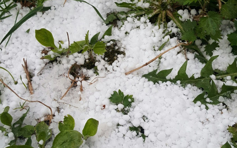 Во Владимире после снега выпал град: фотоподборка из соц сетей