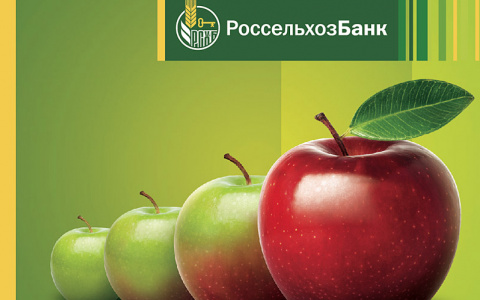 Россельхозбанк выдал 98 млрд рублей на проведение сезонных работ
