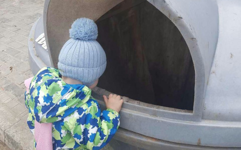 Во Владимире ребенок едва не угодил в подземный мусорный контейнер