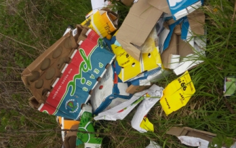 Владимирская "Пятерочка" устроила свалку около "Пекинки"