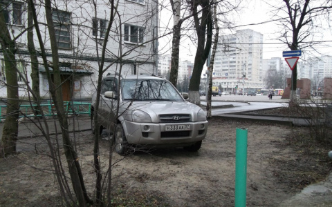 "Паркуюсь как хочу": короли улиц