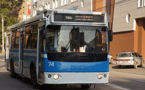 Во Владимире водитель троллейбуса сядет в тюрьму за смерть пенсионерки