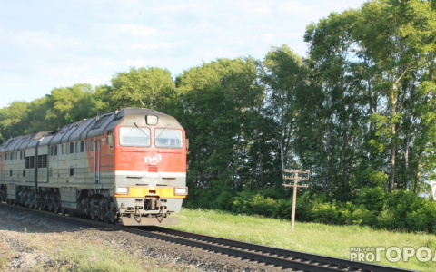 В Муроме два школьника бросились под поезд