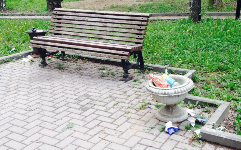 5 фактов, которые обескуражили владимирцев в эти выходные