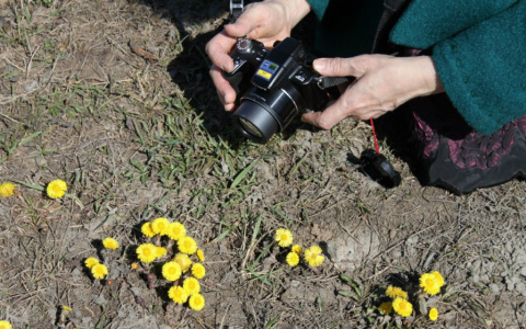 Погода во Владимире стабилизируется