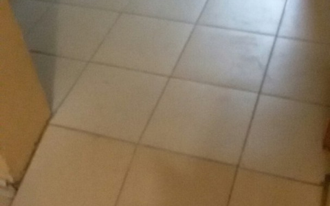 Горожанка: "Мой ребенок из-за неровного пола в поликлинике разбил голову"