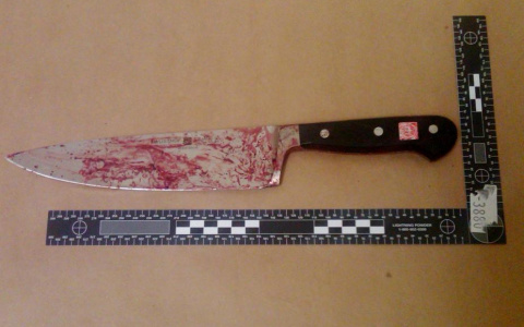 В Петушинском районе женщина зарезала сожителя, пытавшегося ее удушить