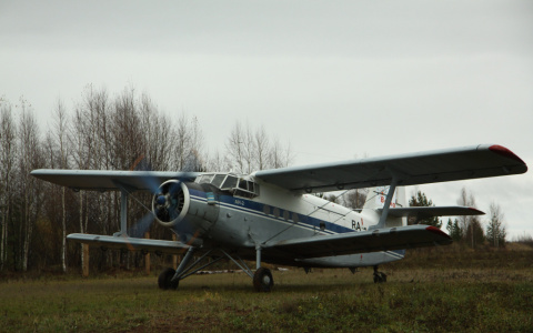 Житель Владимира погиб при крушении легкомоторного самолета
