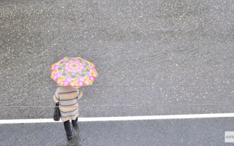 Во Владимире прогнозируются грозы, сильные дожди, усиление ветра до 18 м/с!