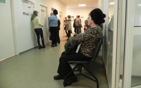 Что огорчило горожан в минувшие выходные: конопля, мусор и мошенники