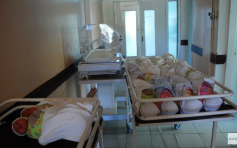 В мае ряды владимирцев пополнили Яромир, Савва и Мирослава