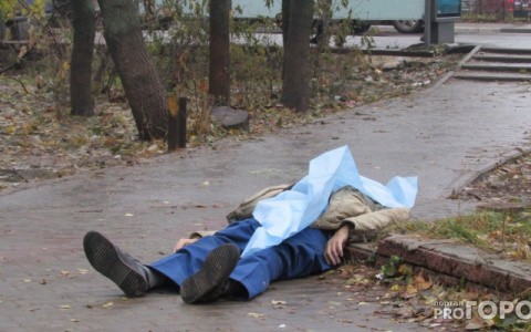 В 33 регионе раскрыто убийство пенсионера, совершенное 10 лет назад