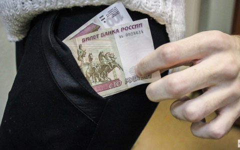 В Петушинском районе воры пожалели жертву и украли лишь половину денег