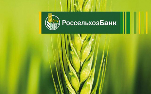 Россельхозбанк в 1,4 раза увеличил кредитование сезонных работ