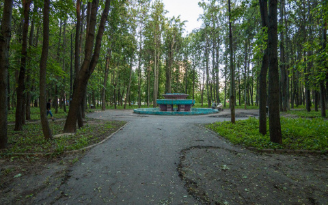 В сквере за ГДК спортивные площадки планируют возвести прямо на болоте