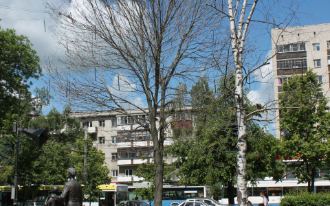 У памятника диктору Левитану сухие деревья угрожают здоровью горожан