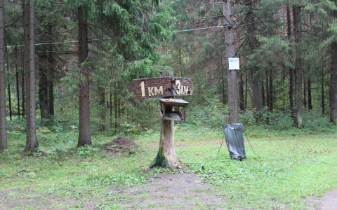 В Ковровском лесу произошло жестокое убийство