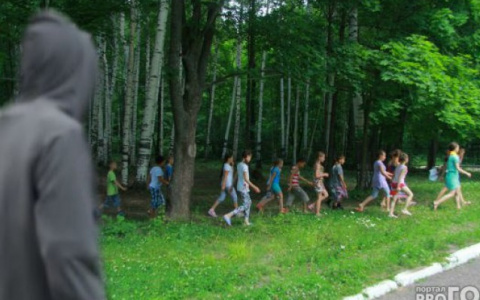 Владимирская прокуратура будет разбираться с «исчезнувшими» путевками в детские лагеря