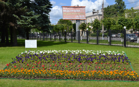Во Владимире открыли клумбу регионов России