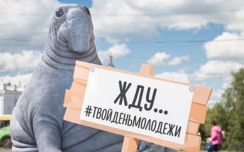 На День молодежи во Владимире запустят ИнстаПринтер