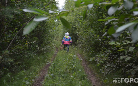 Женщина и шестимесячный ребенок найдены мертвыми в лесу
