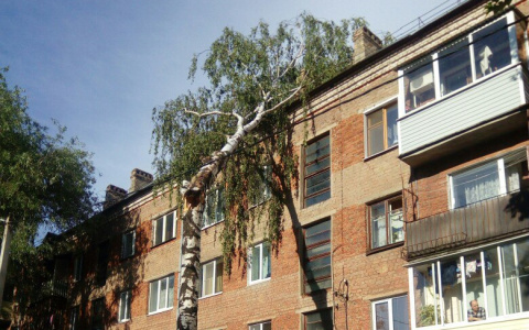 Последствия урагана во Владимире: фотоподборка кадров из соцсетей