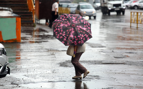 Синоптики: лета во Владимире и области больше не будет