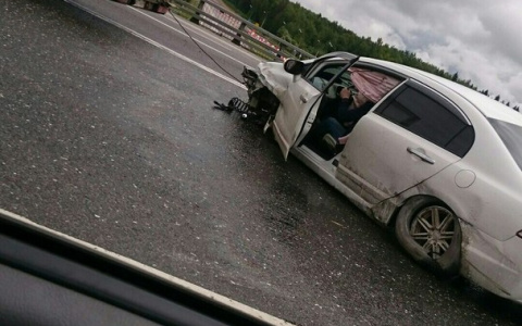 Под Владимиром из-за плохой погоды произошло сразу несколько крупных аварий (фото)
