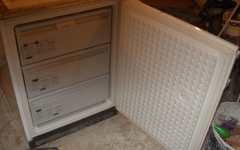 Опечаленный сын заморозил тело матери, чтобы не расставаться с ней