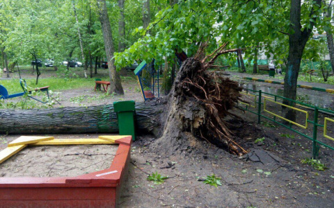 На Владимирскую область надвигается гроза и сильный ветер