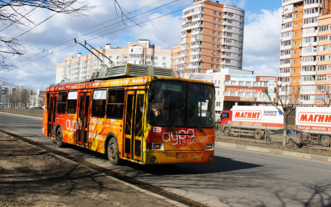 Водители троллейбусов продолжают калечить владимирцев