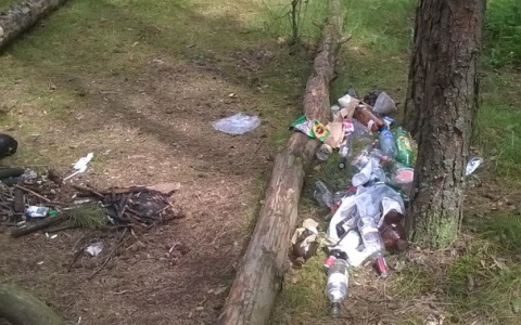 ТОП-3 несанкционированных свалки, разгневавших владимирцев в этом месяце