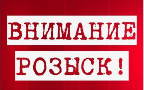 Во Владимирской области ищут пропавшего грибника