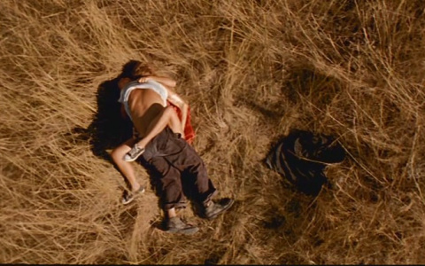 Эксперты выяснили, почему летний секс позитивно влияет на отношения