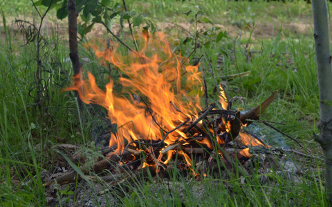 Владимирцам запрещают разводить костры