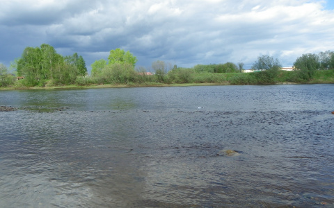 Стали известны подробности гибели преподавателя ВлГУ и 13-летнего мальчика