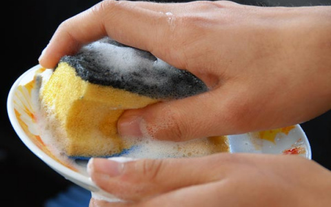 Кухонные губки признали источником неизлечимых инфекций