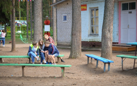 Владимирский лагерь "Дубки" признали слишком пыльным