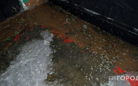 В Коми квартиру с тремя трупами нашли по опарышам в подъезде (фото)