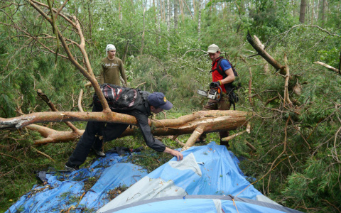 В Судогде мужчина пошел в лес за дровами и "попал" на 5 млн рублей