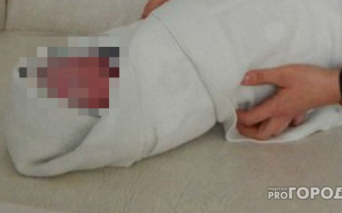 Новости России: тело младенца нашли в зарослях кустарника