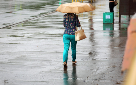 Рабочая неделя во Владимире начнется дождем