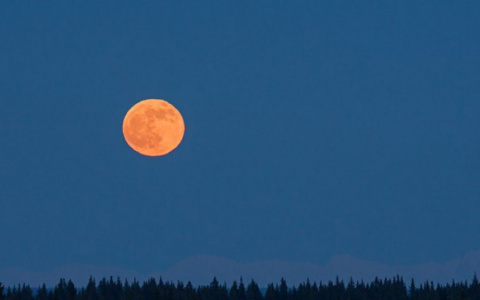 Ученые рассказали об особенностях лунного затмения 7 августа