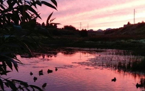 Владимирцы поделились фотографиями умопомрачительного заката 7 августа