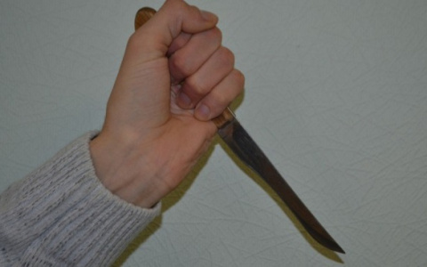 Владимирец устроил кровавую резню в центре Нижнего Новгорода