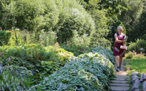 В центре Владимира могут разбить городской сад в честь известного актера