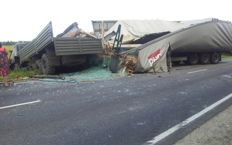 Днем в Кольчугинском районе столкнулись 2 большегруза