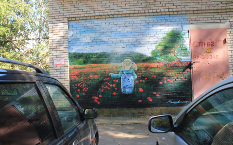 На нескольких улицах Владимира появились необычные картины-граффити