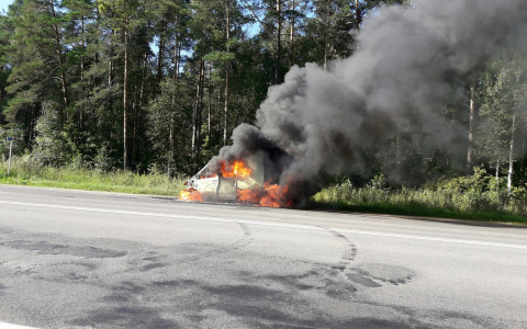 Под Владимиром сгорел автомобиль