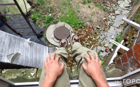 «Рыжий Лис» вместо «Синих китов»: детей к суициду толкают новые хакеры